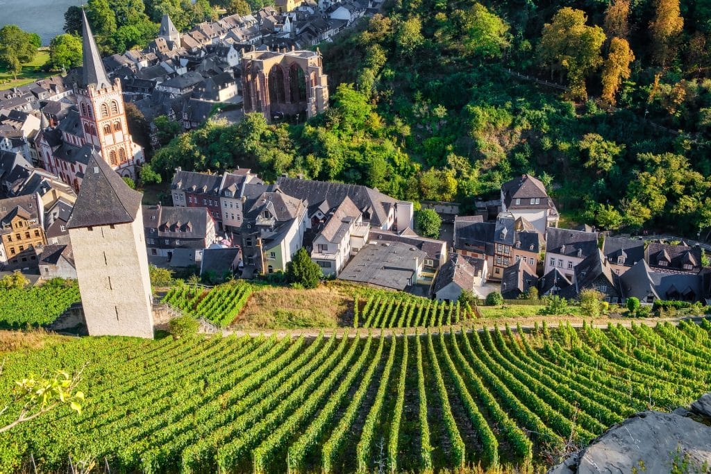 A high-angle scenic view of the town of Bacharach, Germany. In the foreground are rows of green grapevines. The mid-ground features the Gothic ruins of the Wernerkapelle and St. Peter's Church, surrounded by half-timbered houses. The Rhine River is visible in the background.