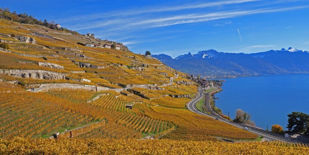 Steep, terraced vineyards in the Lavaux region turning golden yellow in autumn, with train tracks and Lake Geneva below.