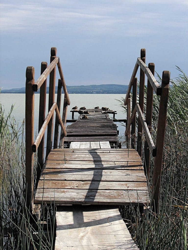 An old, weathered wooden pier extending into a calm, gray lake with ducks sleeping on the end.